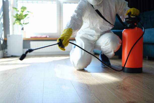 Reliable Odor Removal contractor in Saint Ann, MO by Trauma Clean Pros